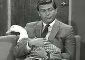Main thumb episode the dick van dyke show 1962