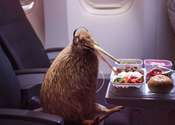 Main thumb p 1 air new zealand is coming after americans with a talking flying kiwi